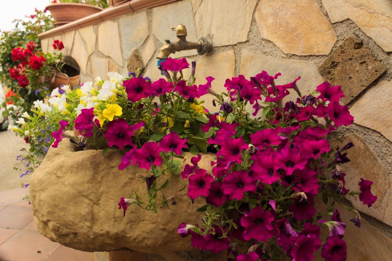 La Casa Di Bia Bed & Breakfast Corleone Ngoại thất bức ảnh